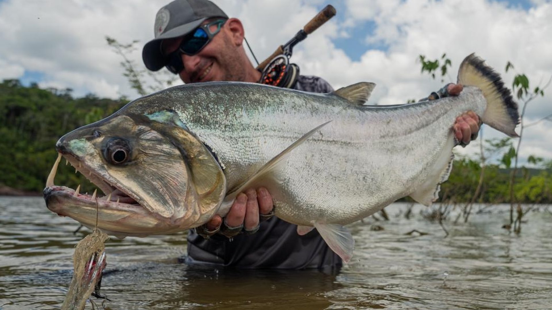 Amazing custom made flies