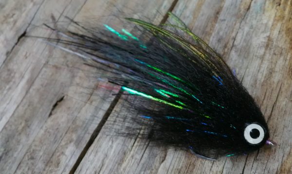 IMG_20241007_150003 IMG_20241007_150003