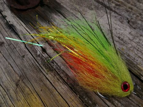 IMG_20241016_143840 IMG_20241016_143840