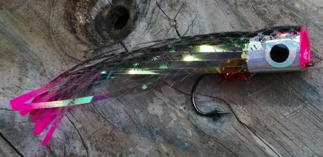 IMG_20240916_100552 IMG_20240916_100552