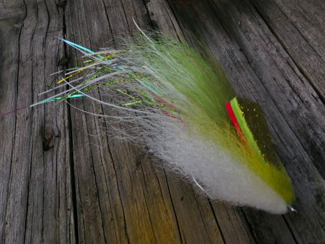 IMG_20241016_144024 IMG_20241016_144024