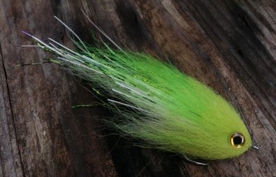 IMG_20241007_093013 IMG_20241007_093013