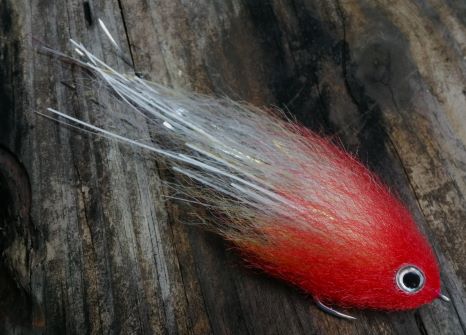 IMG_20241007_093454 IMG_20241007_093454